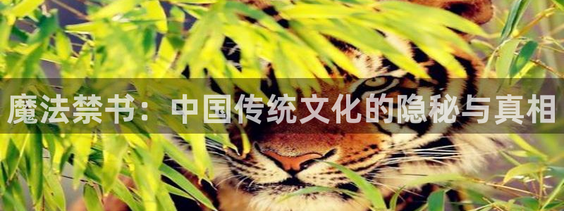 香蕉漫画免费读漫画网：魔法禁书：中国传统文化的隐秘与真相